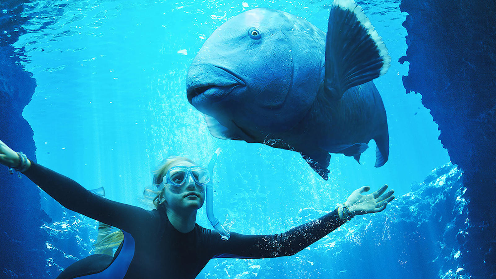 Blue groper and a girl in the Blue Back movie